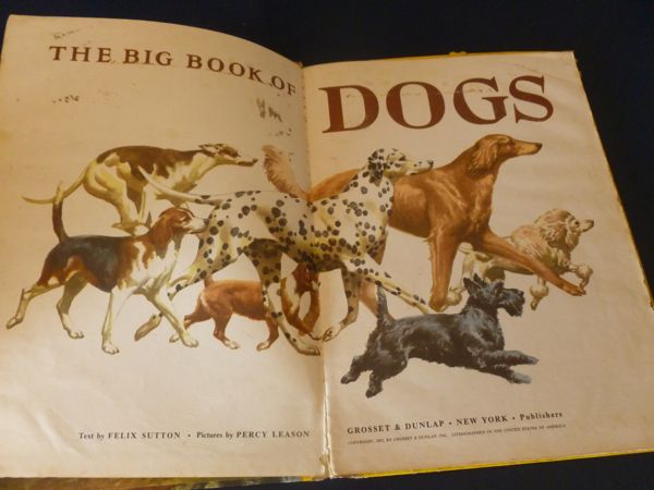 dog book1