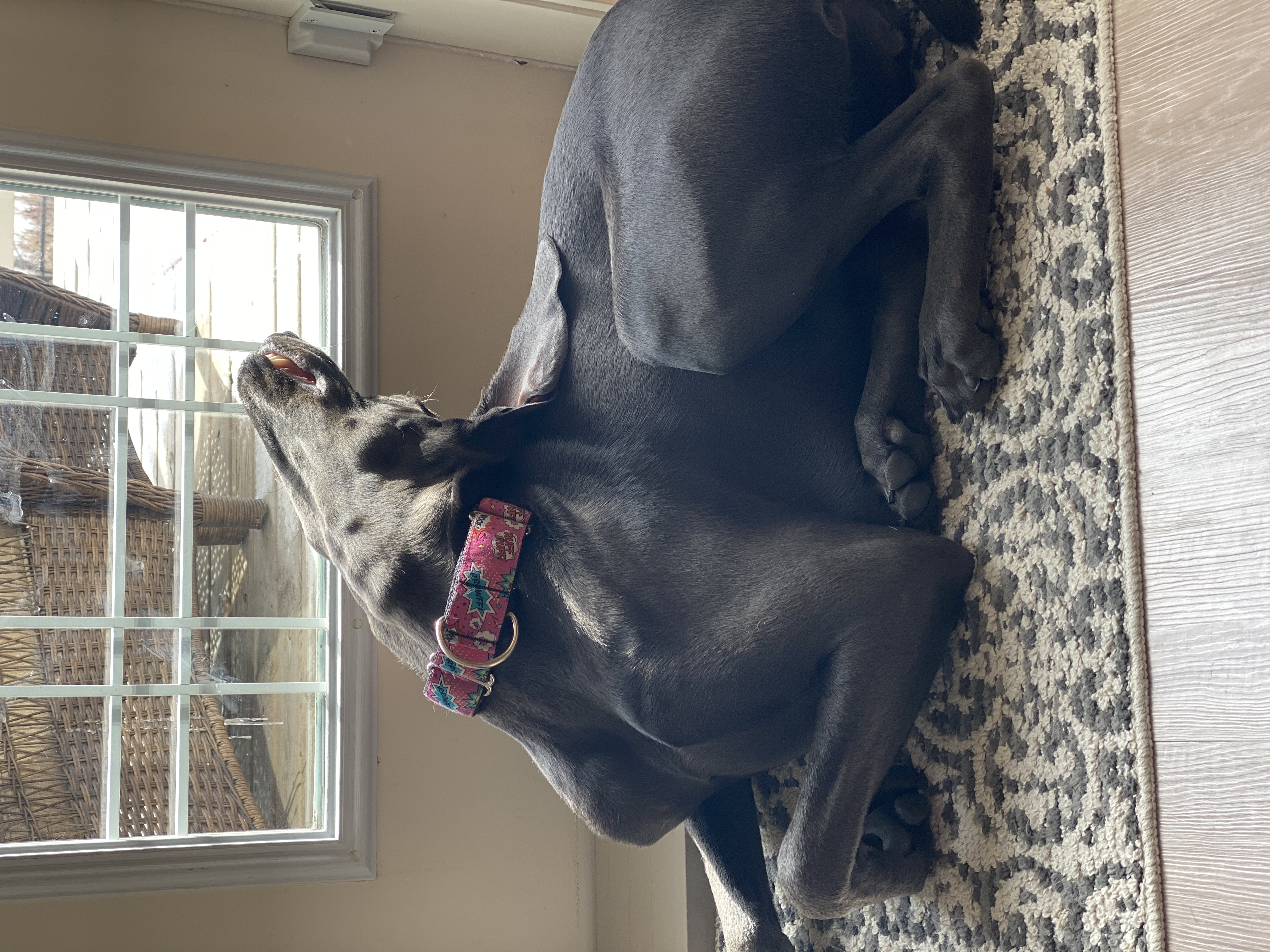 Don't Try This At Home