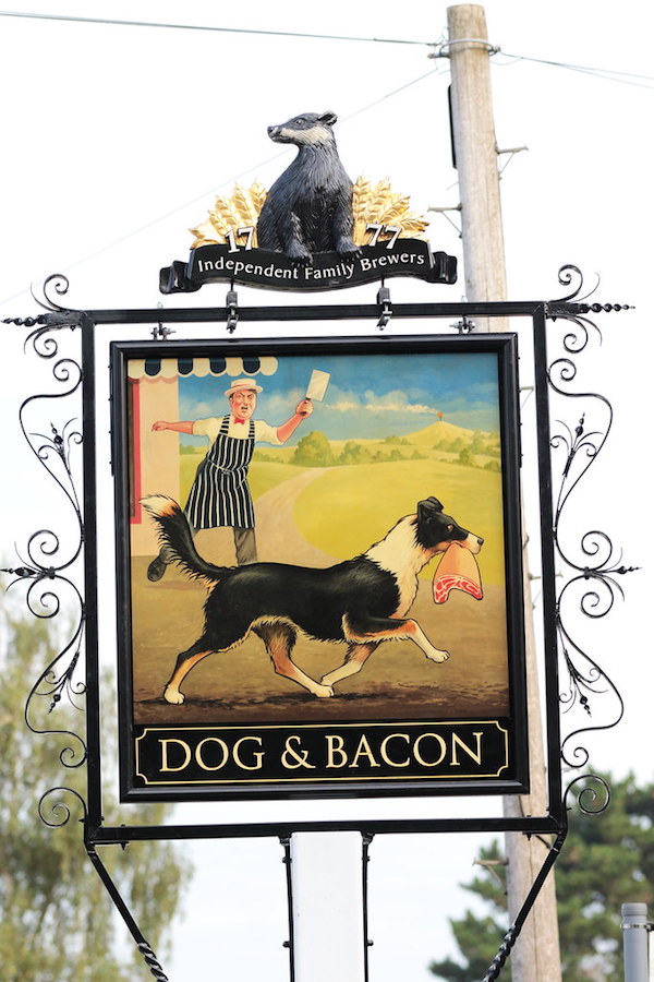 Border Collie,pub,dog and bacon
