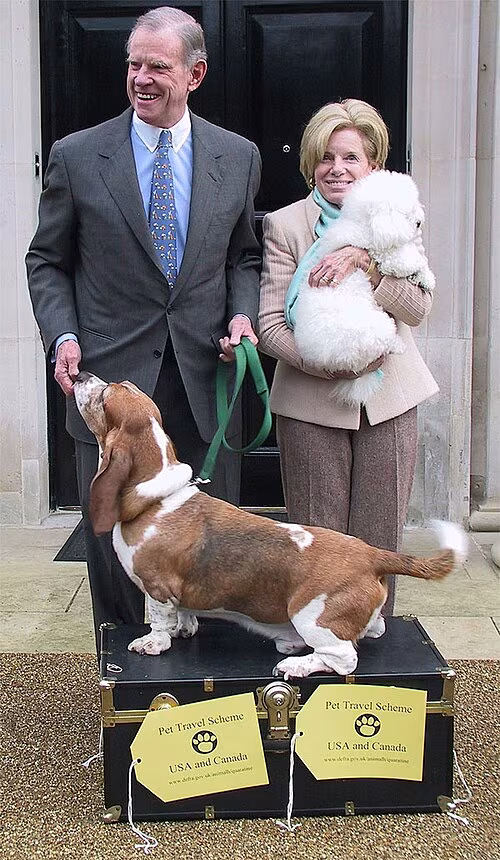 pet passport,Lady Mary Fretwell,dogs,purebred,Basset Hound