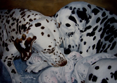 are dalmatians always black and white? 2