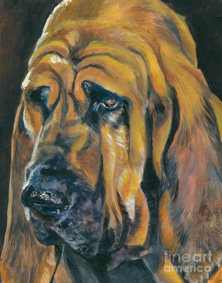 Bloodhound, dogs, purebred dogs