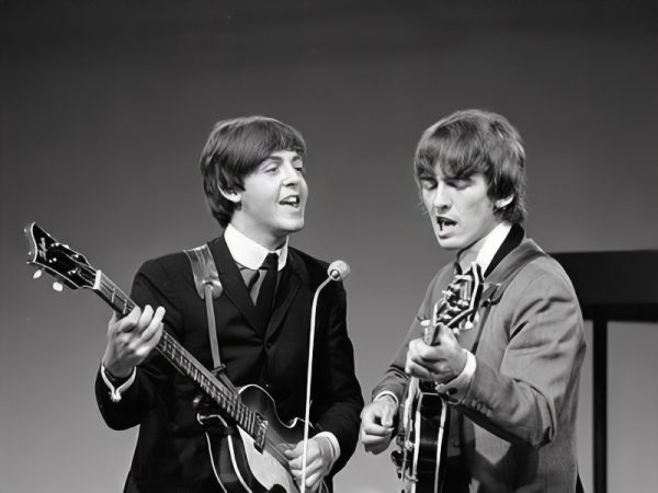 Paul McCartney, old english sheepdog, music, martha my dear, martha