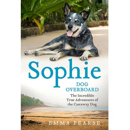 Sophie Tucker, australian cattle dog, dogs, purebred dog
