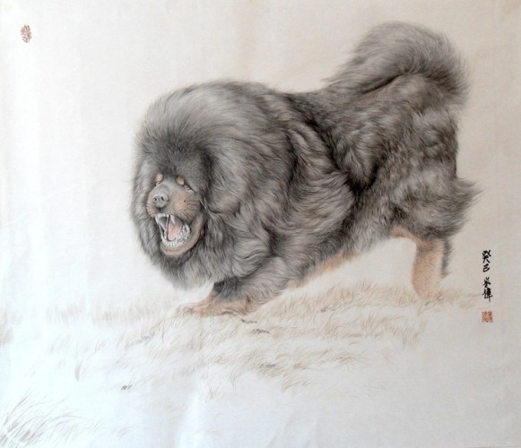 Tibetan Mastiff, dogs, purebred dogs, legend