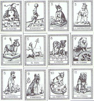 tarot cards, dogs, purebred dogs