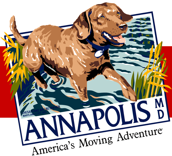 Chesapeake Bay Retriever, dogs, purebred dogs, state dog,Maryland
