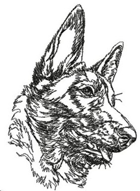 Belgian Malinois A2 - National Purebred Dog Day®