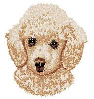 Poodle (Toy) D2 - National Purebred Dog Day®