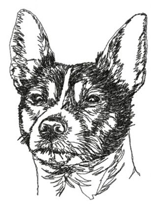 Tenterfield-Terrier-B1 - National Purebred Dog Day®