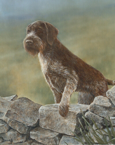 German Wirehaired Pointer,All Terrain Vehicle of Dogs,nickname,hunting dog