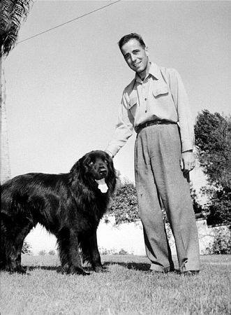 Humphrey Bogart,Newfoundland