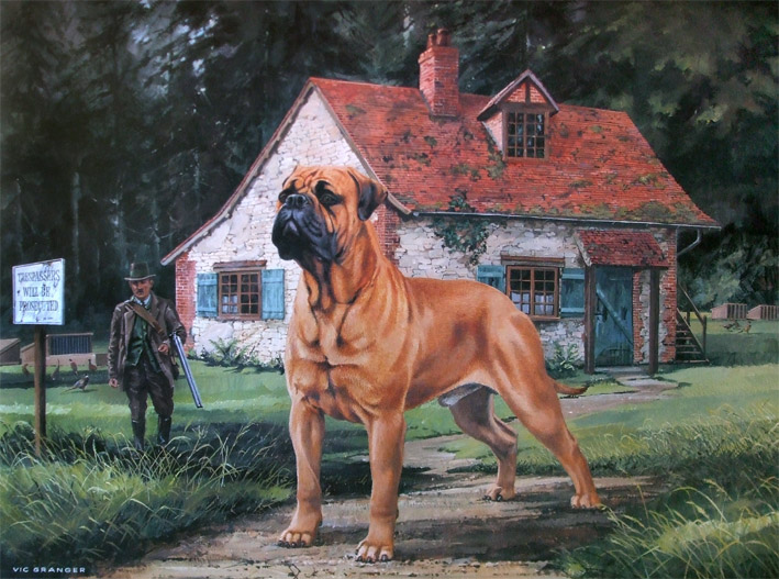 Gameskeeper's Dog,bullmastiff,Mastiff,Bulldog
