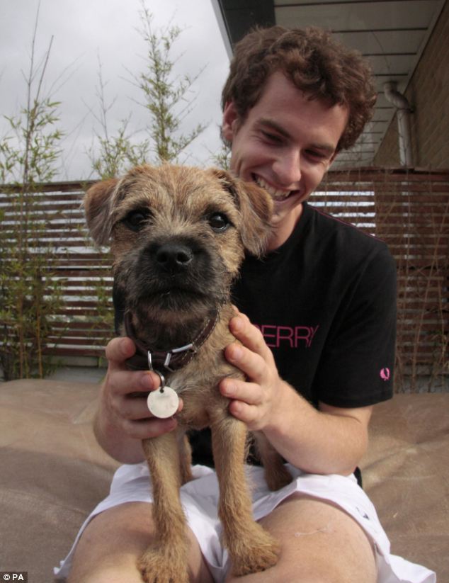 Andy Murray,Border Terrier,How to Look After Your Human: A Dog's Guide,literature
