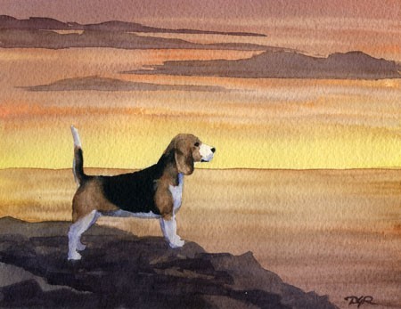 beagle,hound,blackback
