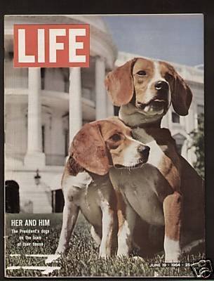 Beagle,Life Magazine,White House