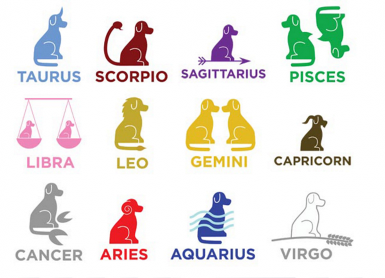 The Dog s Horoscope