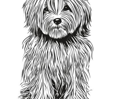 Hamlet cigars, color, Havanese, commercial, TV, Labrador Retriever, ads