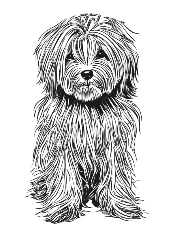 Hamlet cigars, color, Havanese, commercial, TV, Labrador Retriever, ads