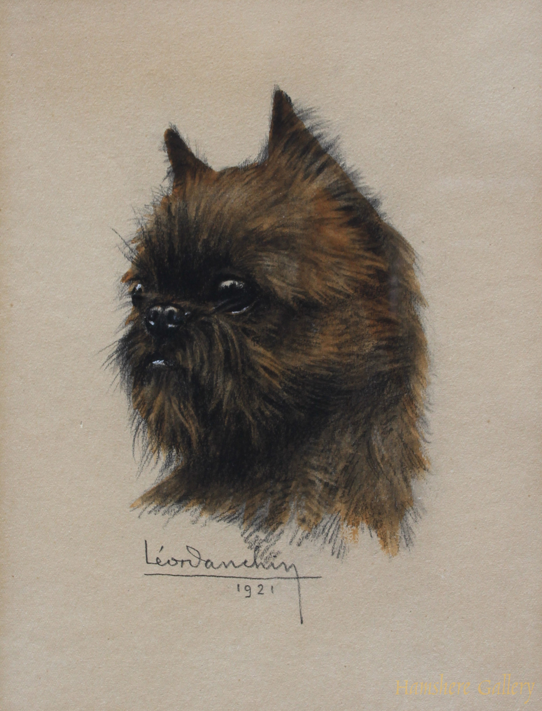 Brabancon,King Charles,Griffons d’Ecurie,English Toy Spaniel,Pug,Affenpinscher,Brussels Griffon,history