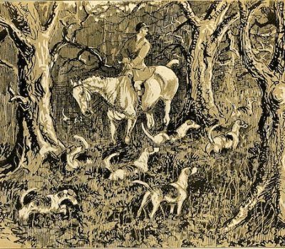 American Foxhound, history, foxhunt breed history