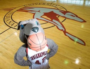 University of Indiana,mascot,greyhound