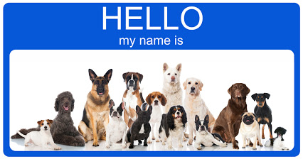 dog breeds, names