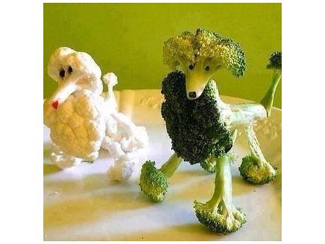dogs,vegetables,