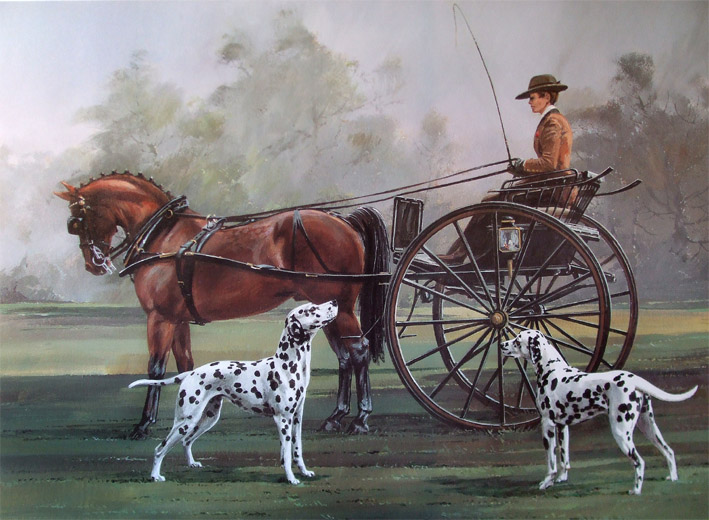 Promenade Dog,nickname,dalmatian,carriage dog