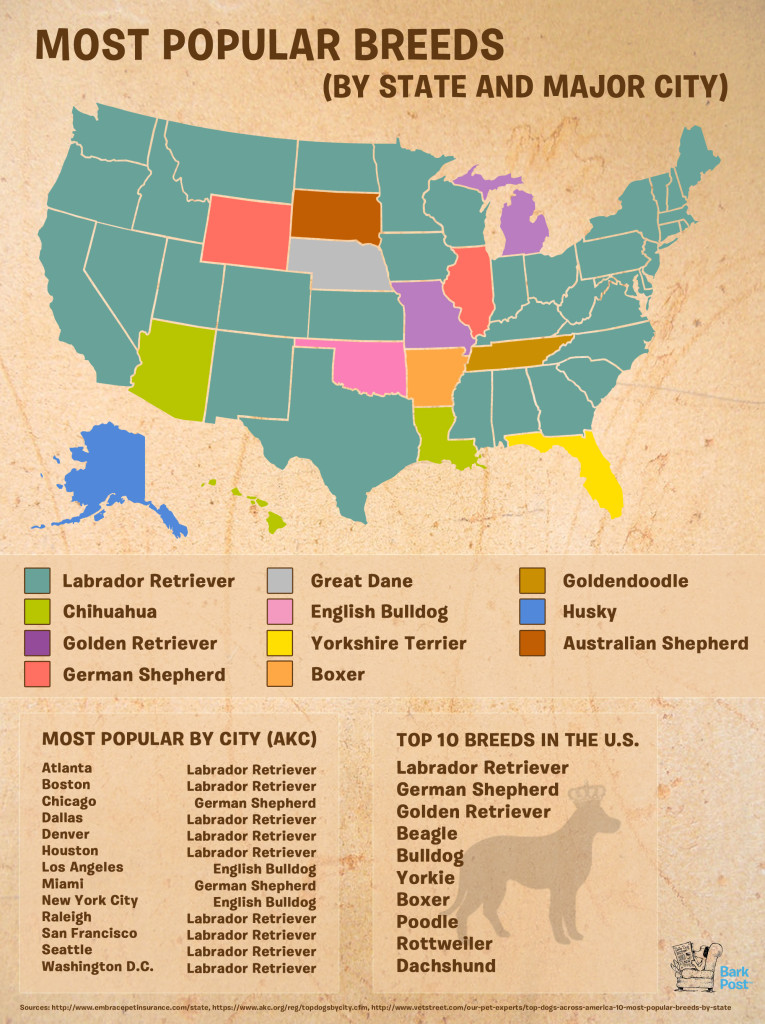 dog breeds,map,states
