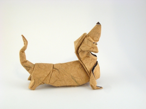 origami, Chihuahua,bulldog,dachshund,basset hound