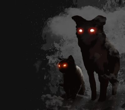 black dog,superstition