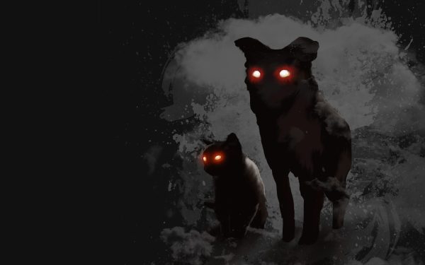 black dog,superstition