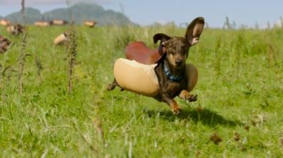 dachshund,heinz,super bowl,commercial,ad