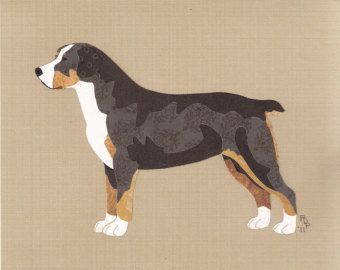 Entlebucher Mountain Dog, tail, structure
