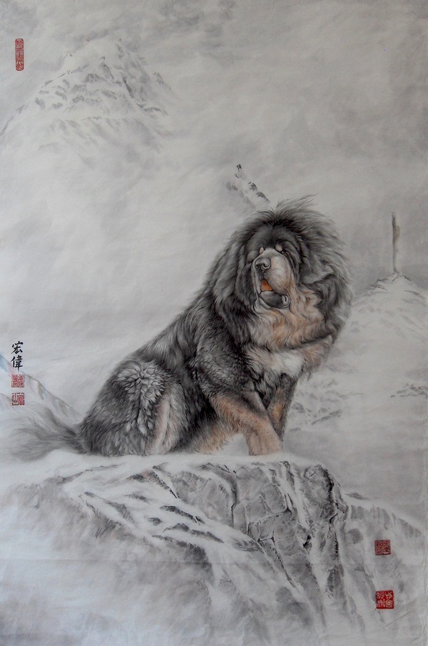 Tibetan Mastiff,Do Khyi,LGD,livestock guardian dog,