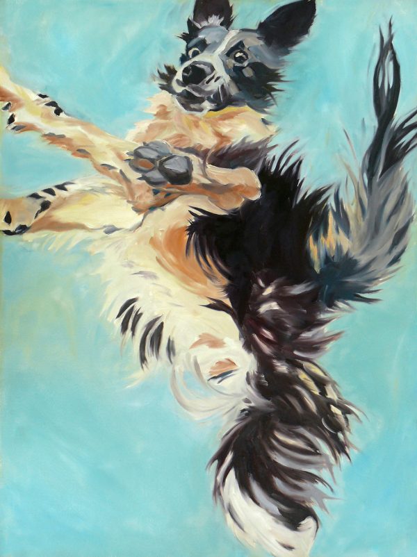 NPDDART2016,Border Collie,Evelyn McCorristin Peters,Let's Fly