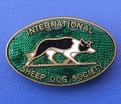 Border Collie,herding dog,herding trial,Wiston Cap,International Sheep Dog Society