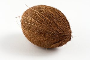 coconut matting,wire fox terrier, hair, coat, texture