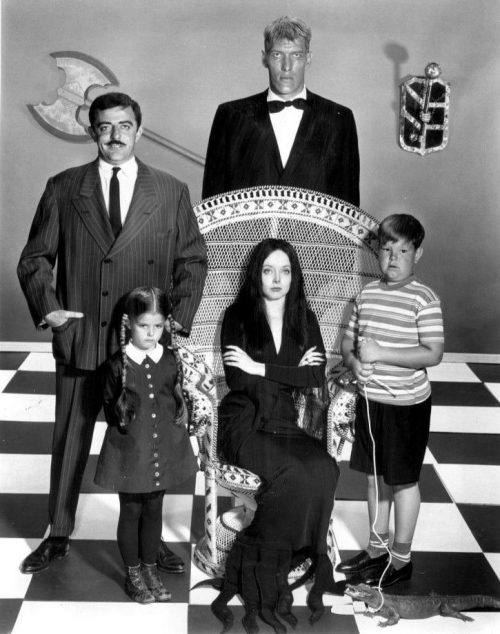 charles addams,addams family,papillon,yorkshire terrier