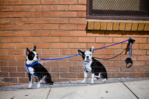 Boston Terrier,art,street art