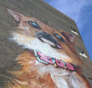 chihuahua,art,street art