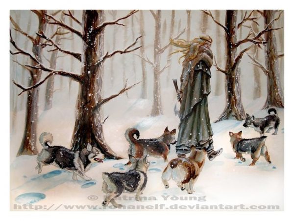 swedish vallhund,tail,French Bulldog, McNab, Miniature Fox Terrier, Old English Sheepdog, Rat Terrier,Tenterfield Terrier