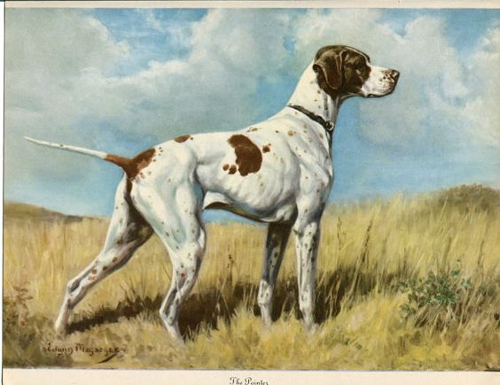 Edwin Megargee,Pointer,bird dog,hunting dog