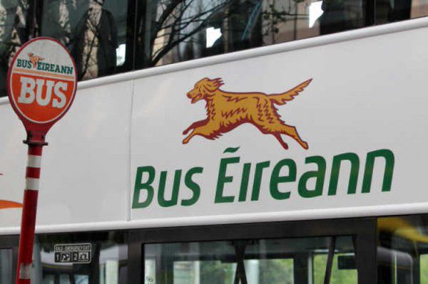 Irish Setter,logo,mascot,Bus Éireann