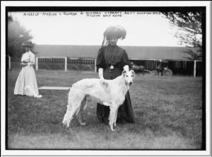 setter,Russian wolfhound,ginger rogers,dog show,