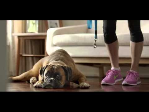 boxer,commercial,tv,advertising