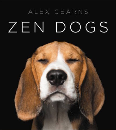 zen dog,book,cavalier king charles,beagle