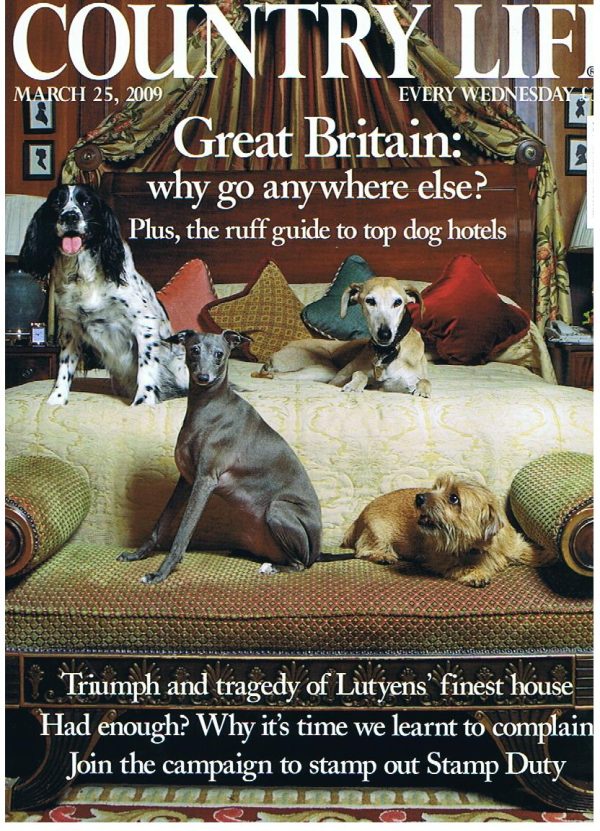 Italian Greyhound, whippet,margaret thatcher,cavalier king charles