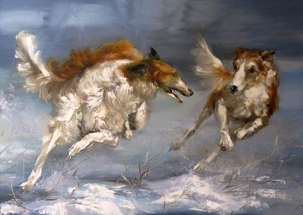can a borzoi and a pudelpointer be friends